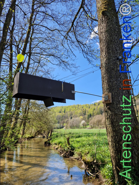 Bild zum Eintrag (1140560-160)