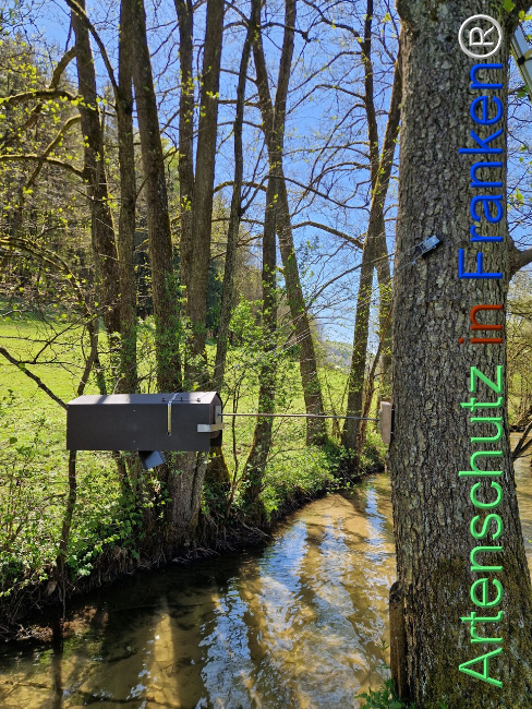 Bild zum Eintrag (1140561-160)