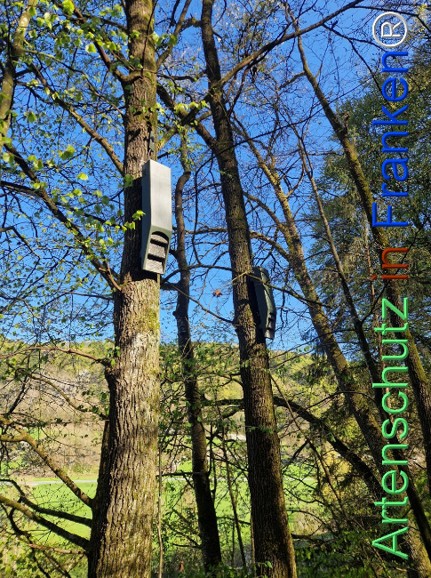 Bild zum Eintrag (1140564-160)
