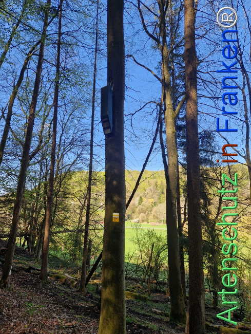 Bild zum Eintrag (1140565-160)
