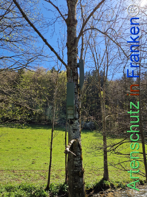 Bild zum Eintrag (1140566-160)