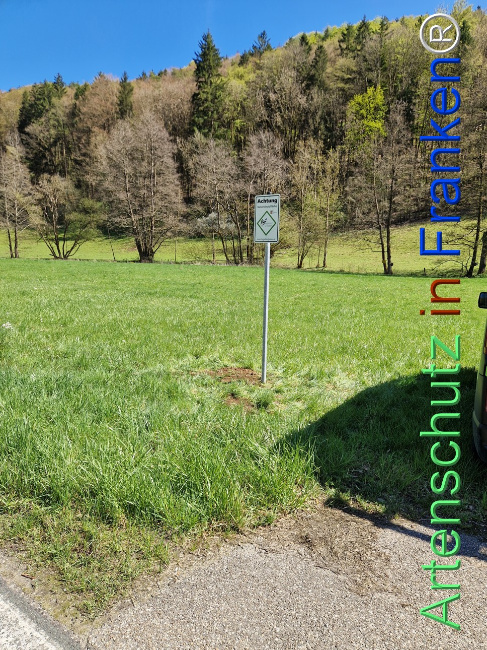 Bild zum Eintrag (1140568-160)