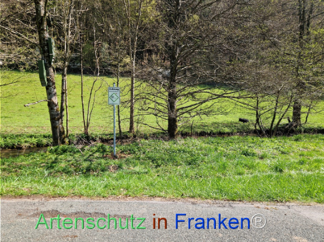 Bild zum Eintrag (1140569-160)