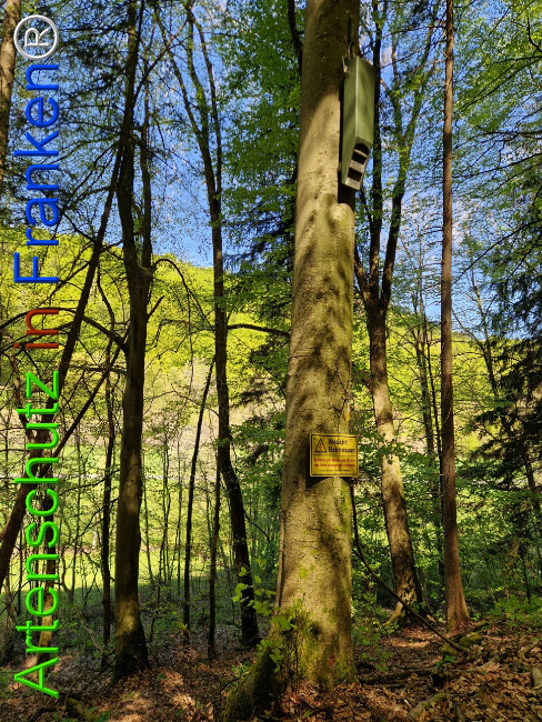 Bild zum Eintrag (1140908-160)