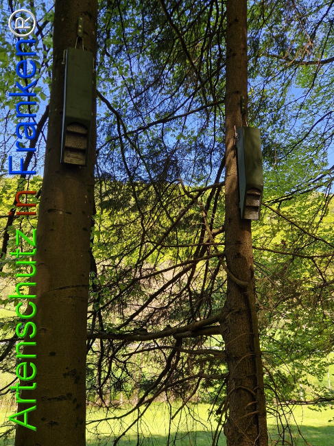 Bild zum Eintrag (1140909-160)