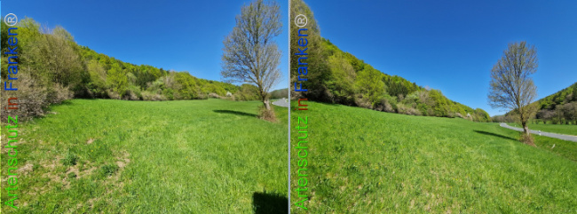 Bild zum Eintrag (1140919-160)