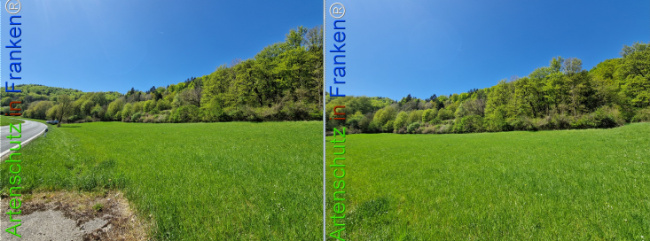 Bild zum Eintrag (1140920-160)
