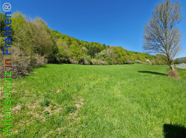 Bild zum Eintrag (1140923-160)