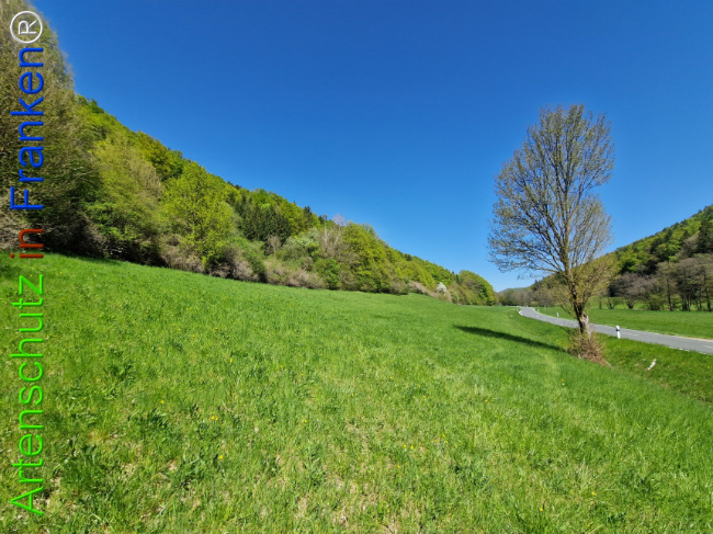 Bild zum Eintrag (1140924-160)