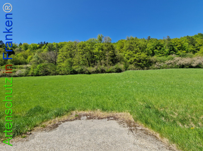 Bild zum Eintrag (1140925-160)