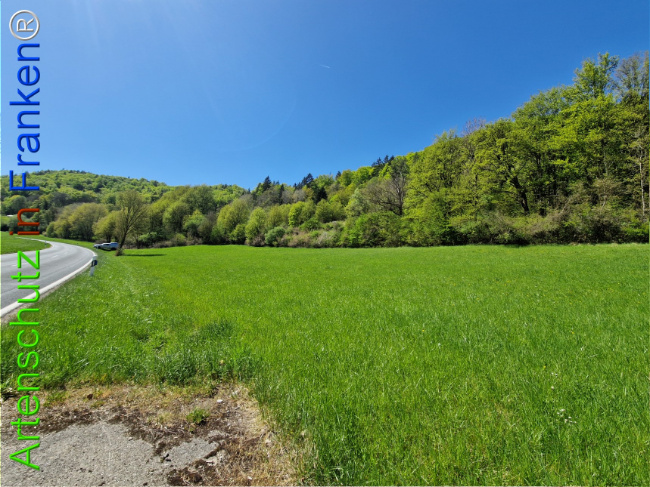 Bild zum Eintrag (1140929-160)