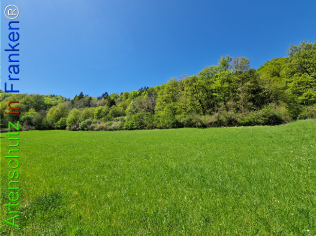 Bild zum Eintrag (1140930-160)