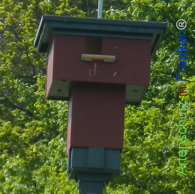 Bild zum Eintrag (1141467-160)