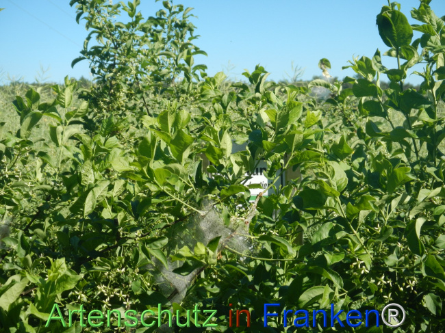 Bild zum Eintrag (1142174-160)