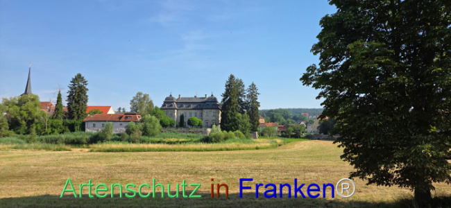 Bild zum Eintrag (1144301-160)