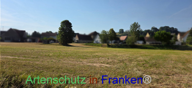 Bild zum Eintrag (1144302-160)