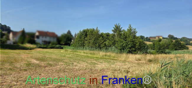 Bild zum Eintrag (1144303-160)