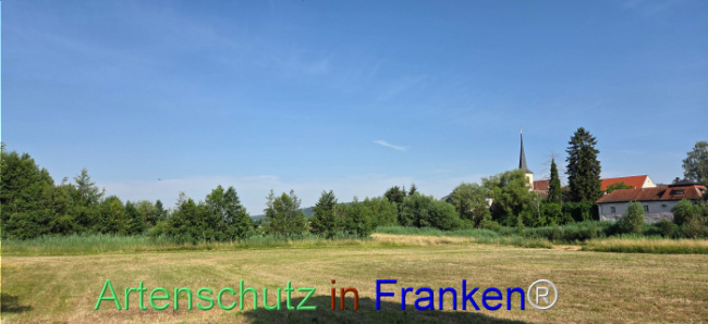 Bild zum Eintrag (1144304-160)