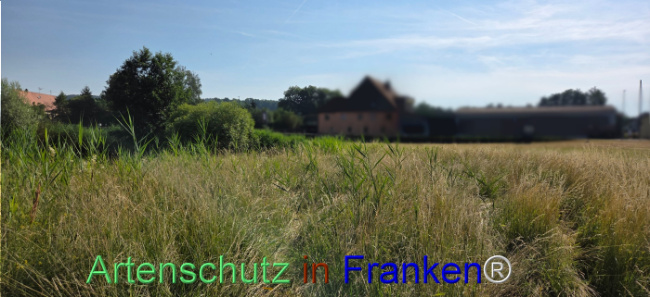 Bild zum Eintrag (1144306-160)