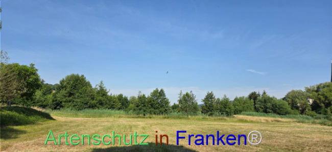 Bild zum Eintrag (1144307-160)