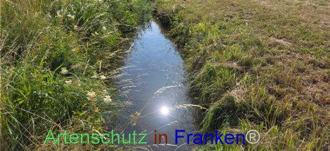 Bild zum Eintrag (1144308-160)