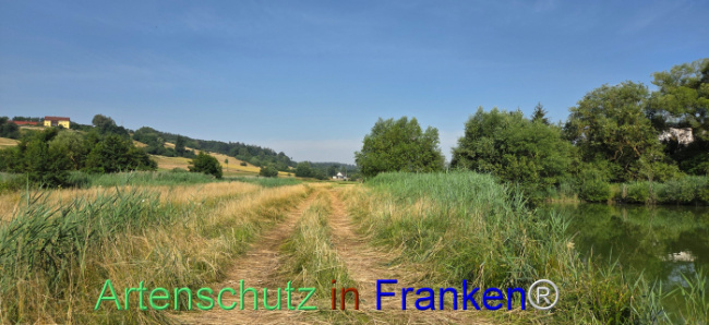 Bild zum Eintrag (1144311-160)