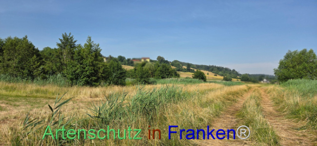 Bild zum Eintrag (1144312-160)