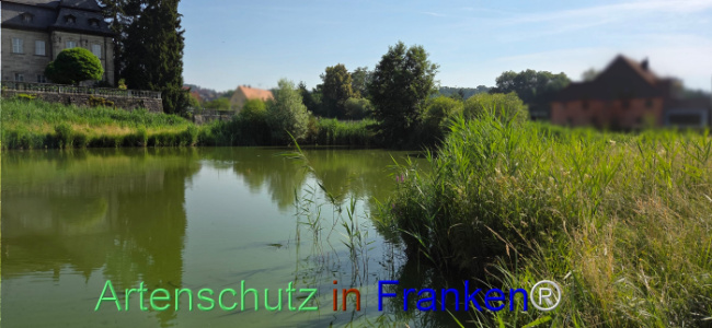 Bild zum Eintrag (1144314-160)