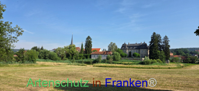 Bild zum Eintrag (1144315-160)