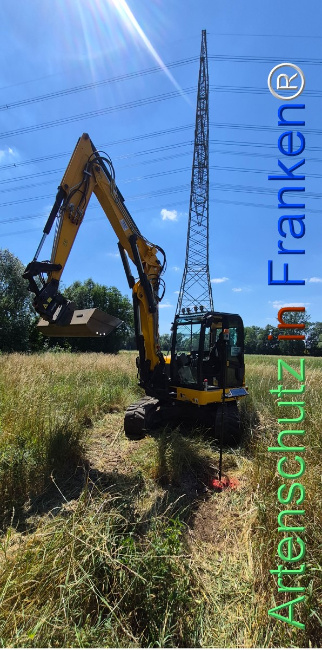 Bild zum Eintrag (1144850-160)