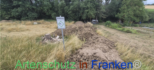 Bild zum Eintrag (1144964-160)