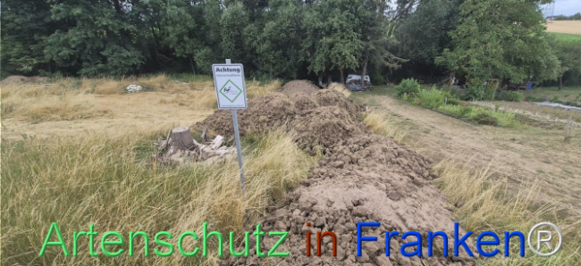 Bild zum Eintrag (1144966-160)
