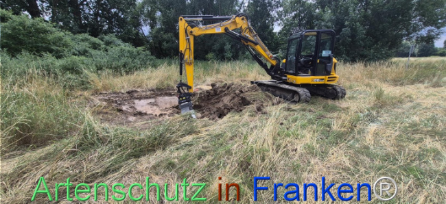 Bild zum Eintrag (1144969-160)