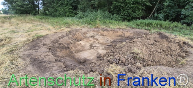 Bild zum Eintrag (1144970-160)