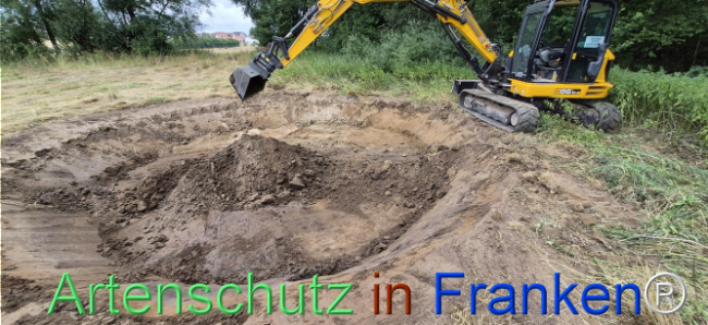 Bild zum Eintrag (1144971-160)