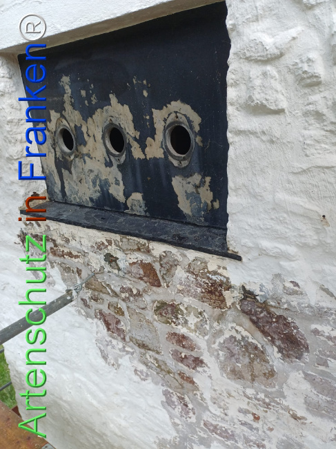 Bild zum Eintrag (1145013-160)