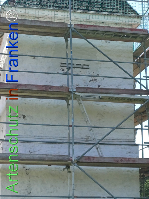 Bild zum Eintrag (1145017-160)