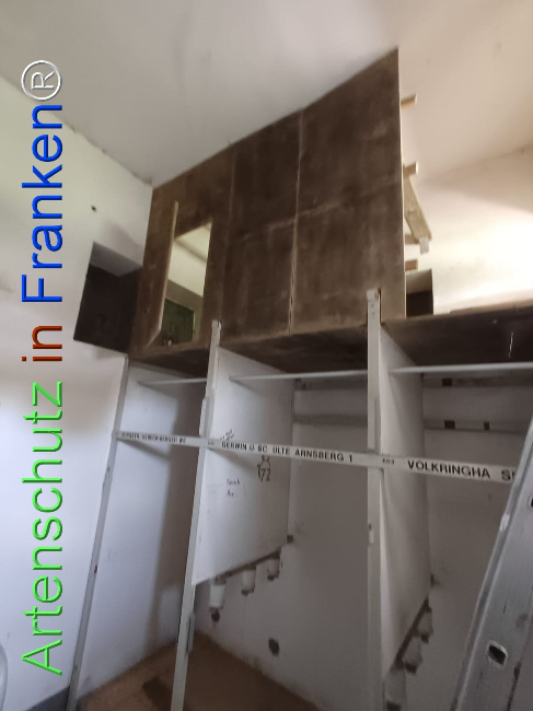 Bild zum Eintrag (1145019-160)