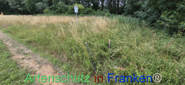 Bild zum Eintrag (1145217-160)