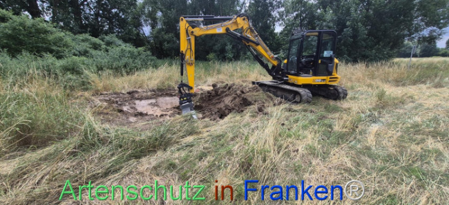 Bild zum Eintrag (1145218-160)