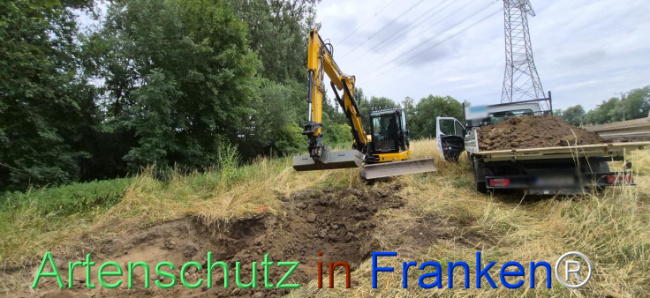 Bild zum Eintrag (1145219-160)