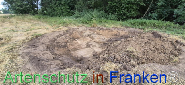 Bild zum Eintrag (1145221-160)