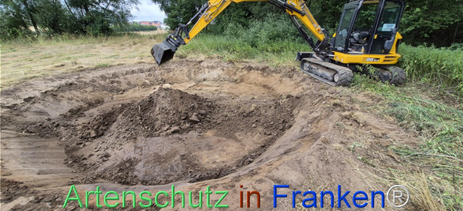 Bild zum Eintrag (1145222-160)