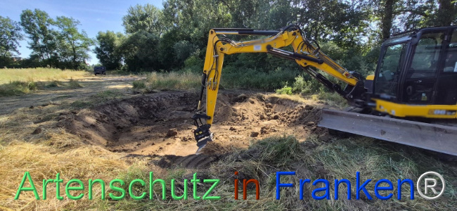 Bild zum Eintrag (1145448-160)