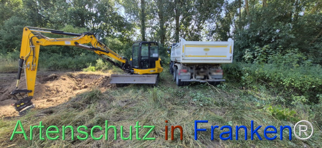 Bild zum Eintrag (1145451-160)