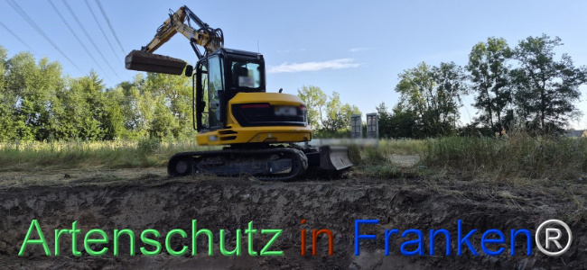 Bild zum Eintrag (1145452-160)
