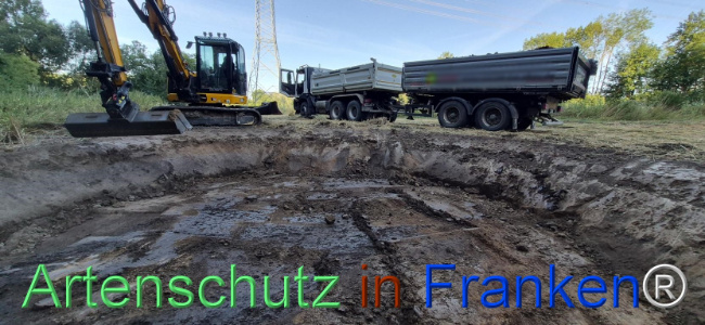 Bild zum Eintrag (1145454-160)