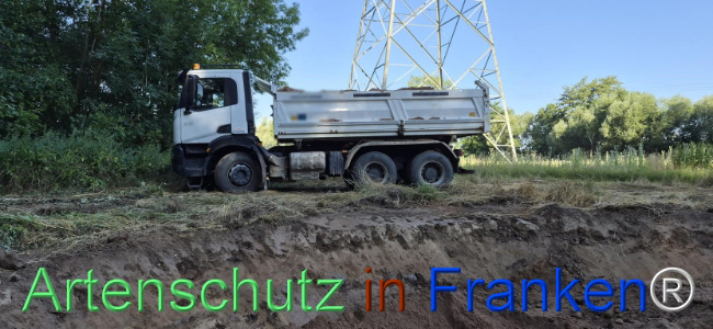 Bild zum Eintrag (1145455-160)