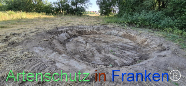 Bild zum Eintrag (1145456-160)