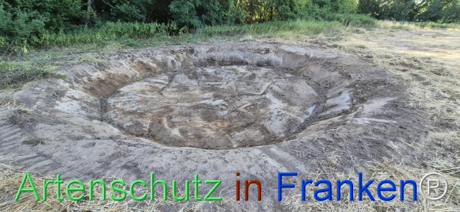 Bild zum Eintrag (1145458-160)